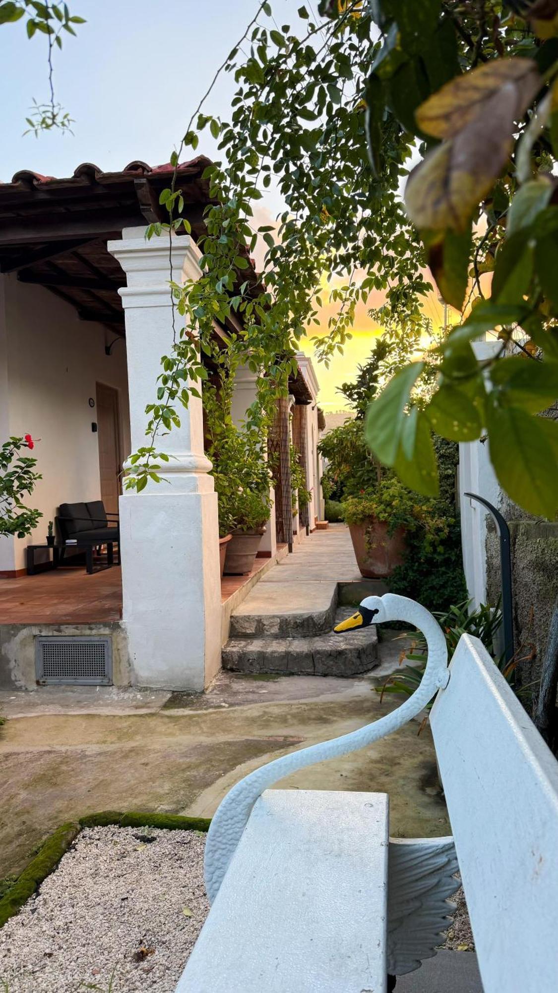 Il Cigno B&B Capri Eksteriør bilde