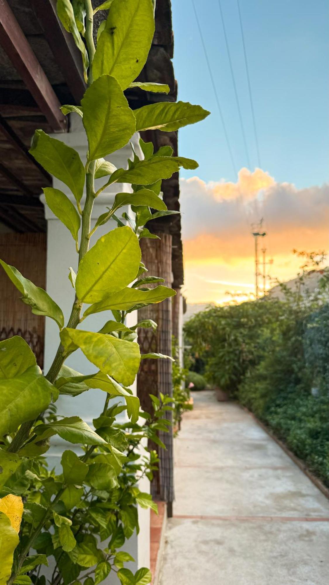 Il Cigno B&B Capri Eksteriør bilde