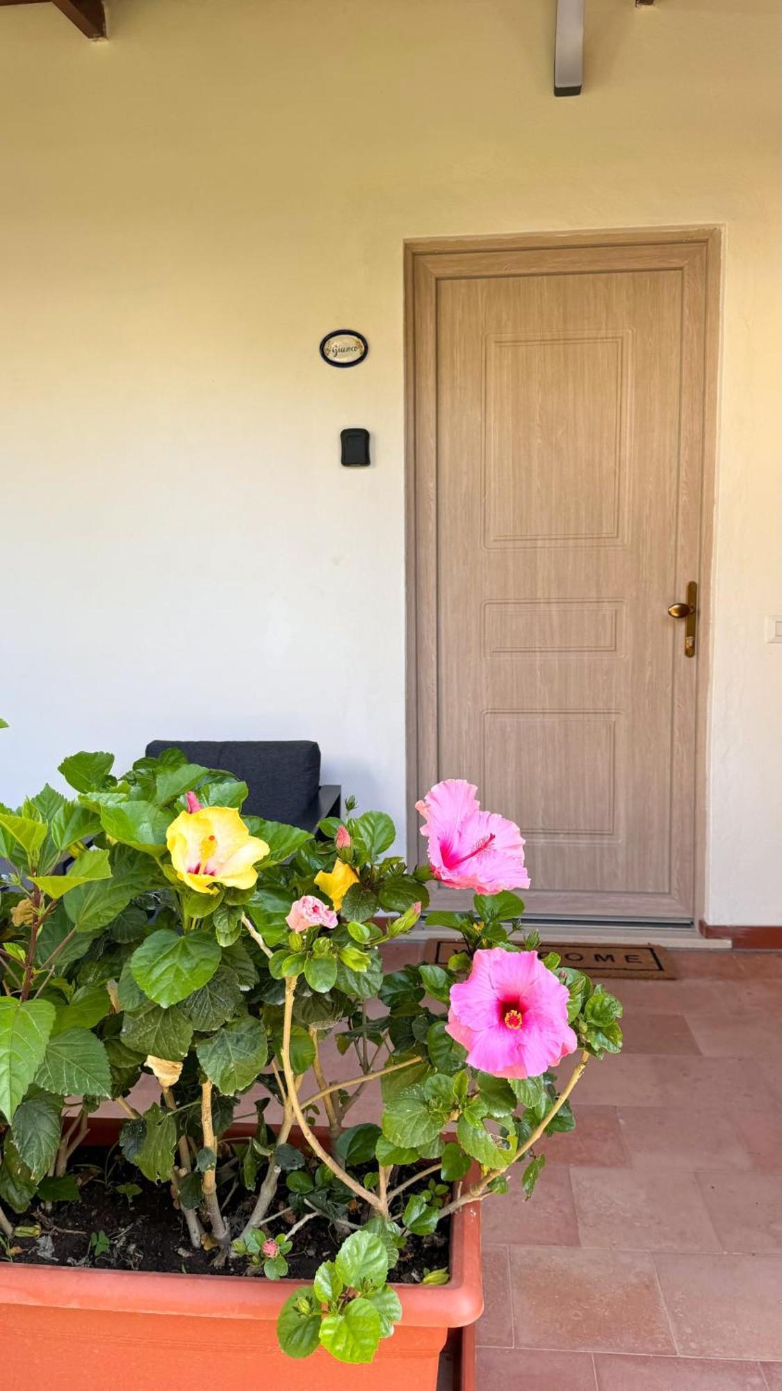 Il Cigno B&B Capri Eksteriør bilde