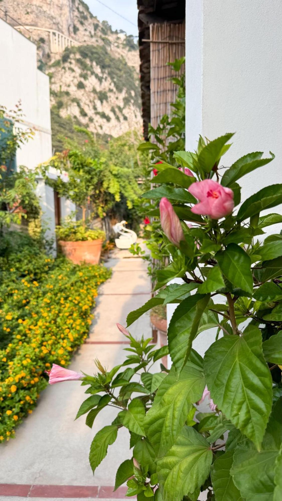 Il Cigno B&B Capri Eksteriør bilde