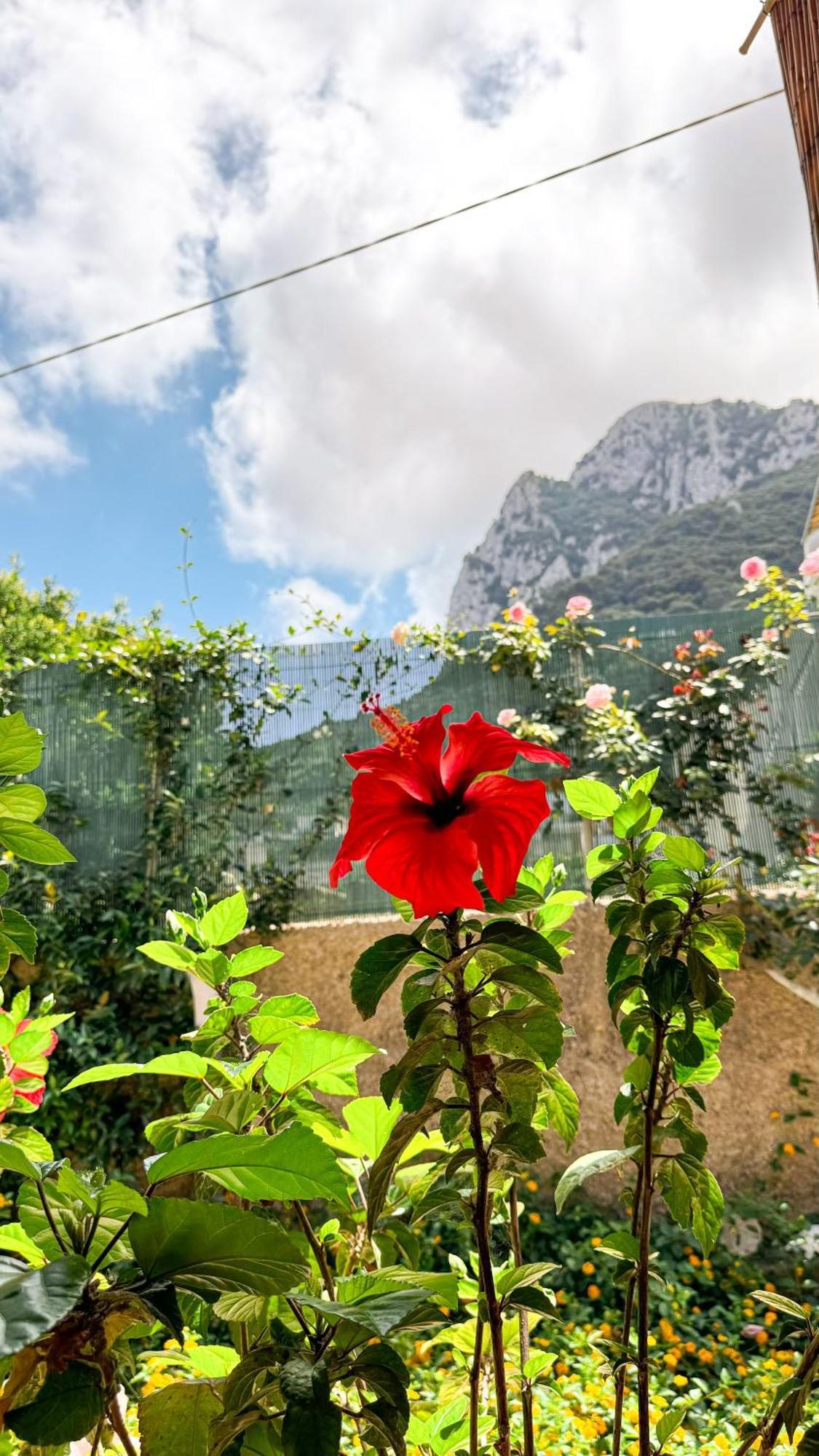 Il Cigno B&B Capri Eksteriør bilde