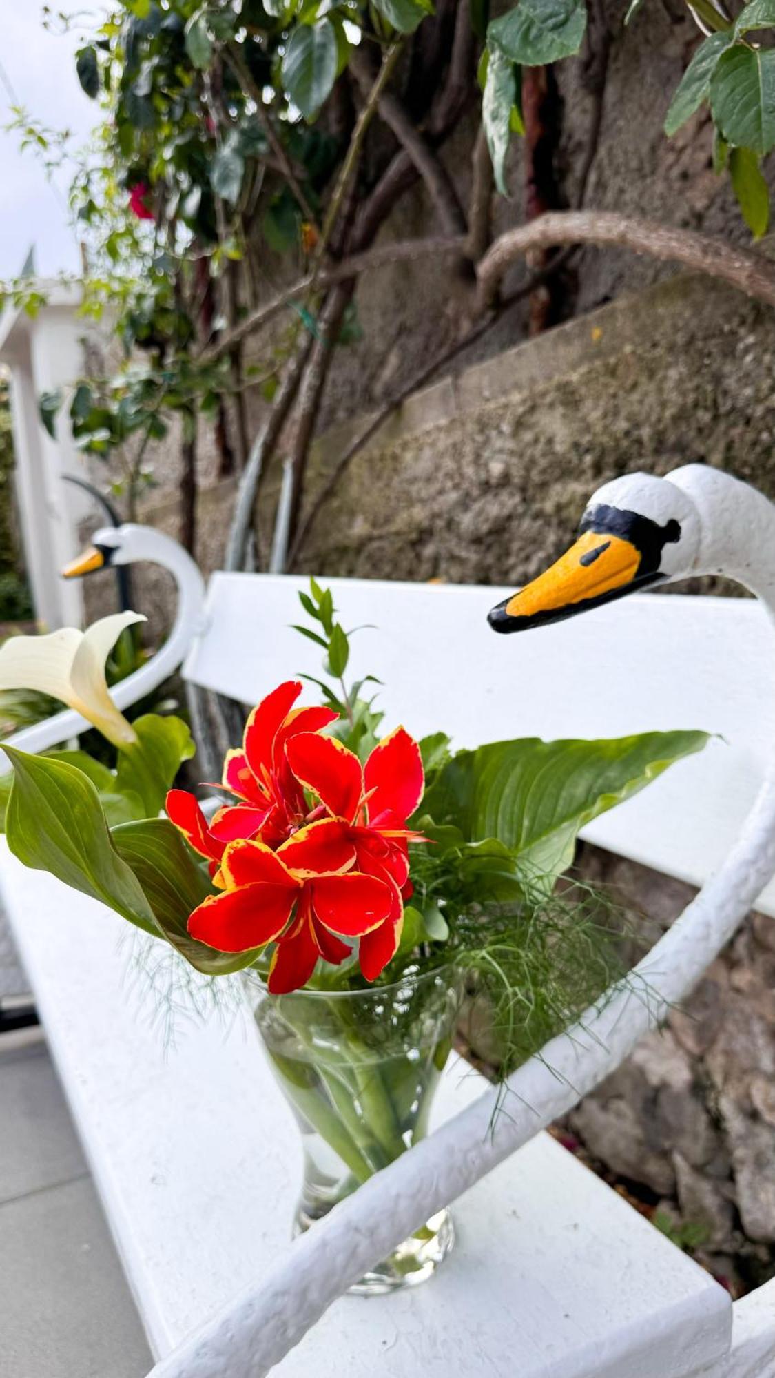 Il Cigno B&B Capri Eksteriør bilde