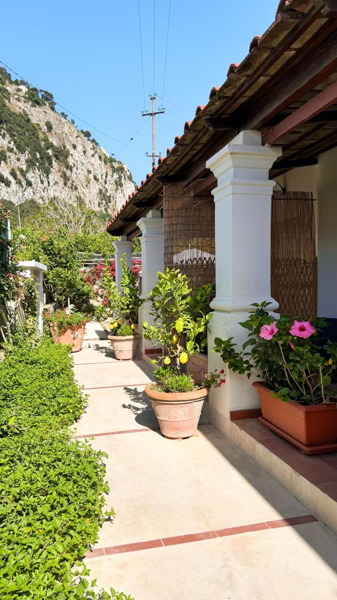 Il Cigno B&B Capri Eksteriør bilde