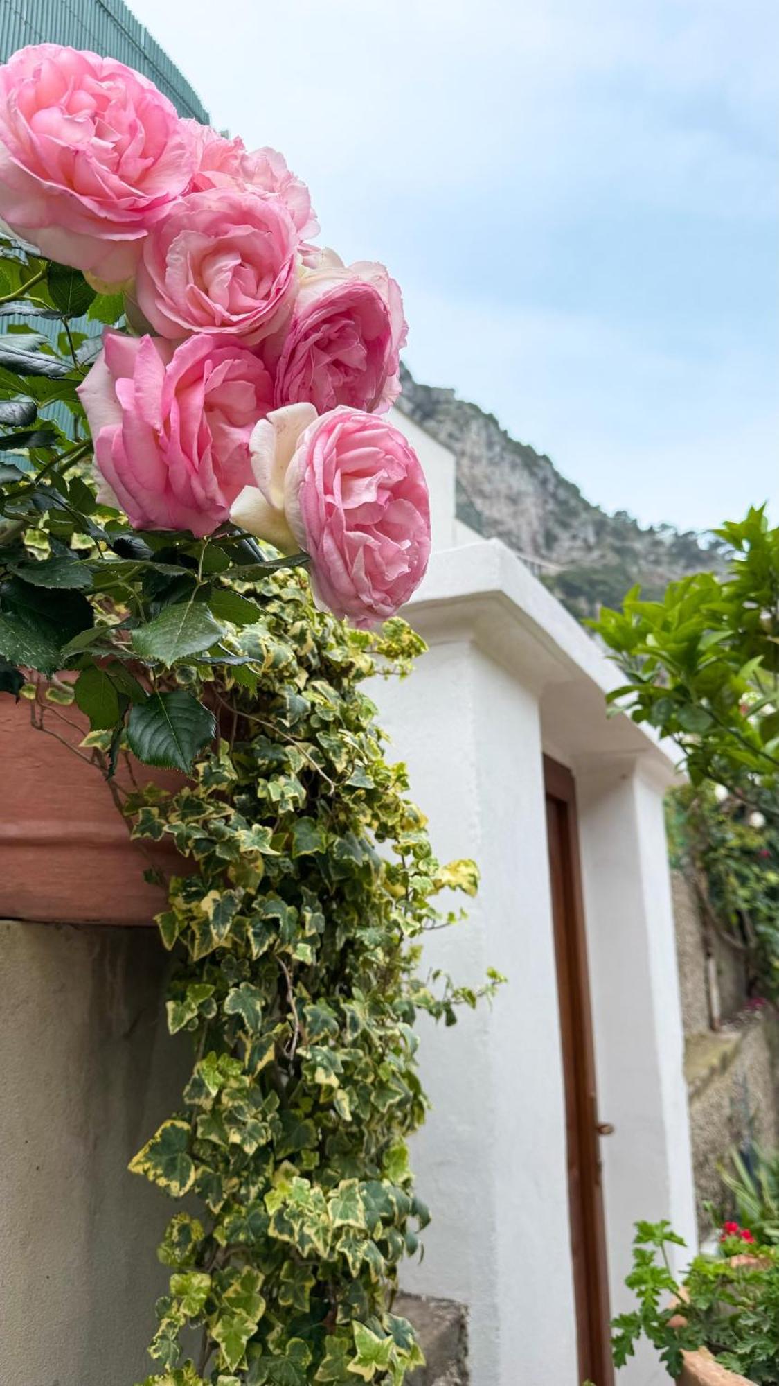 Il Cigno B&B Capri Eksteriør bilde