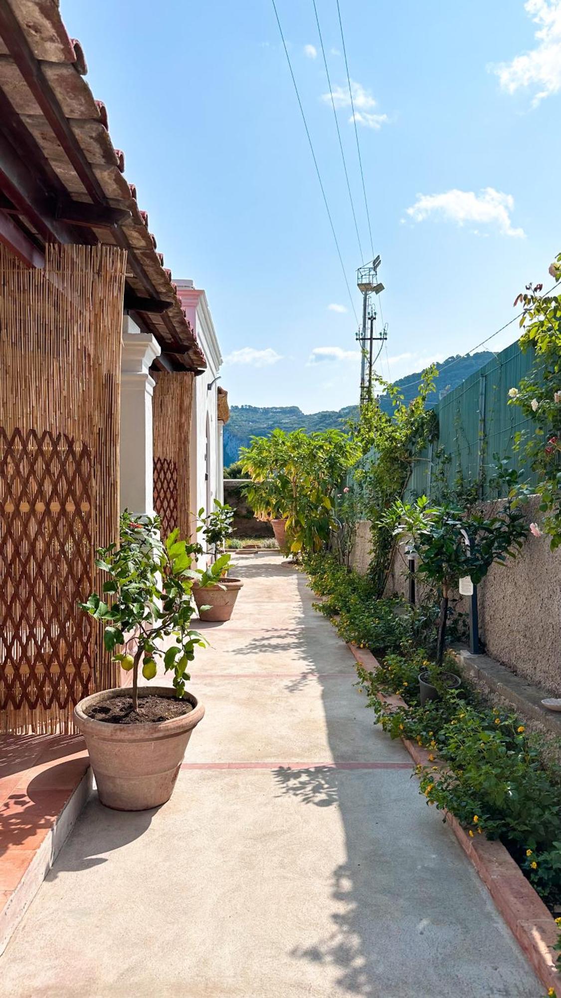 Il Cigno B&B Capri Eksteriør bilde